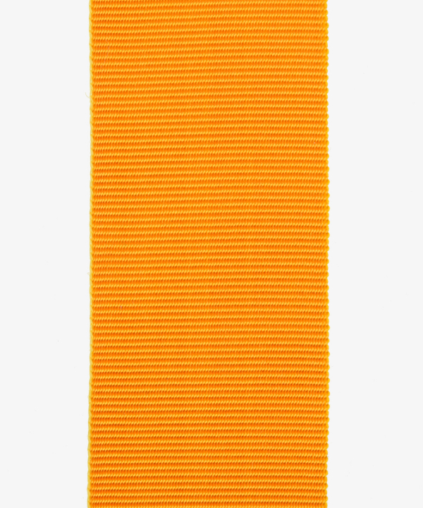 Reuss, Life Saving Medal, 1896-1918 (23)